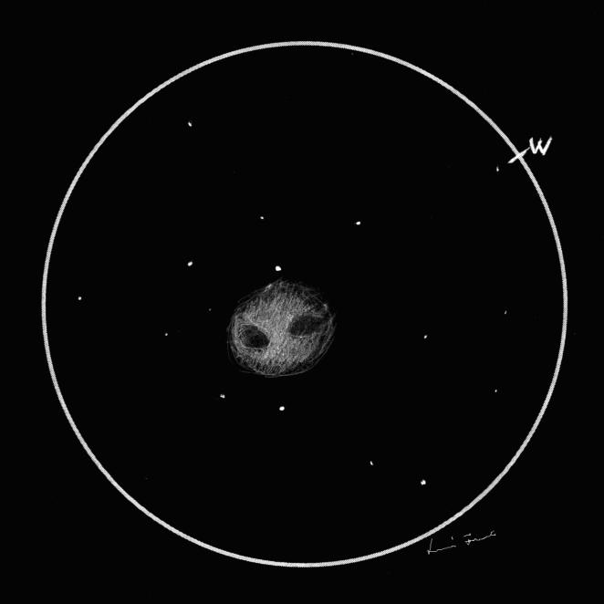 A Real Hoot – Astronomy Sketch of the Day
